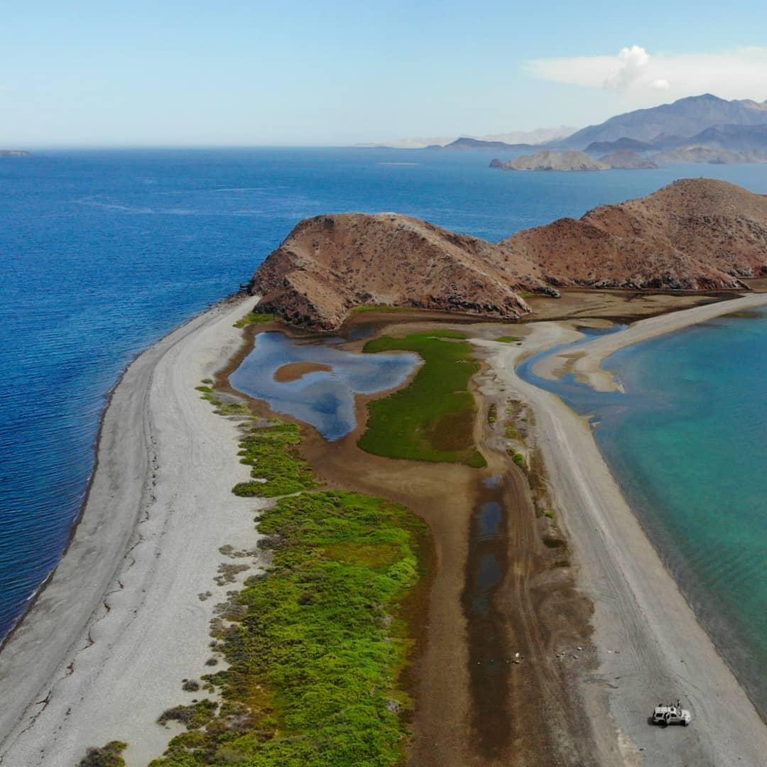 Playa la Gringa en Bahia de los angeles con los mejores tours