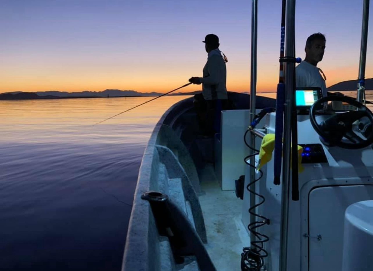 Pasea en panga para conocer bahia de los angeles