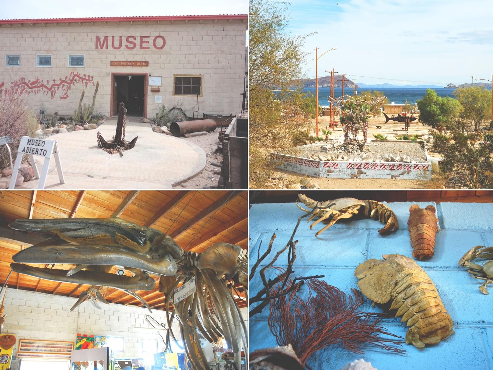 Museo en bahia de los angeles