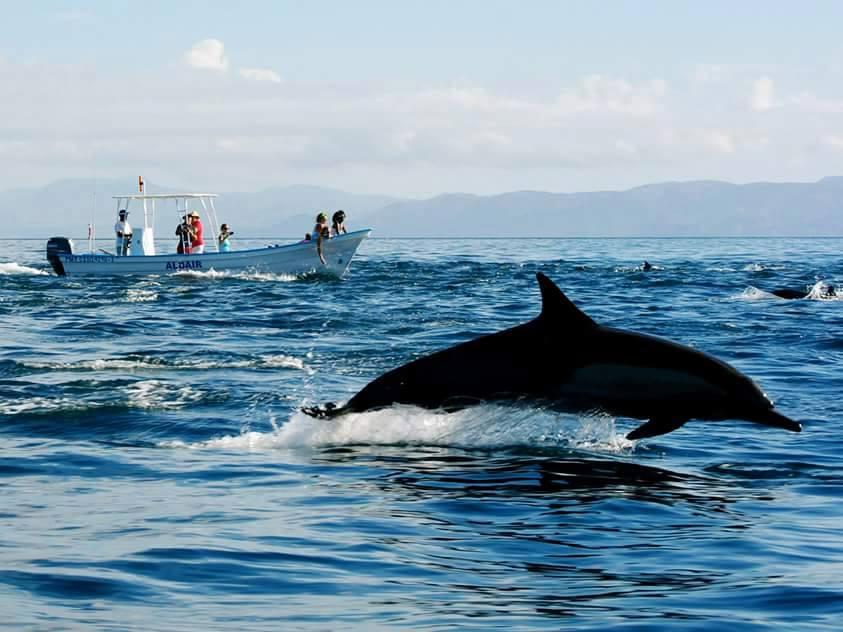 Pesca en bahia de los angeles