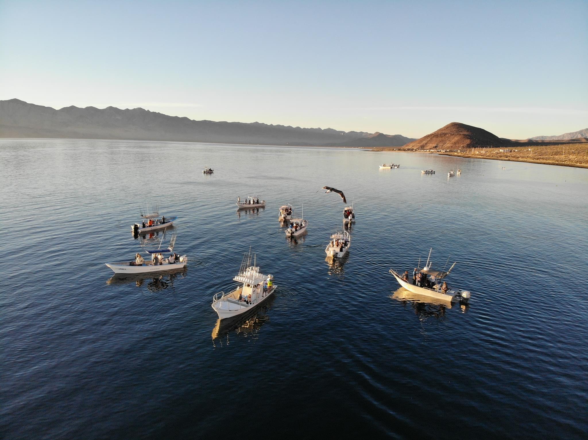 Pesca en bahia de los angeles