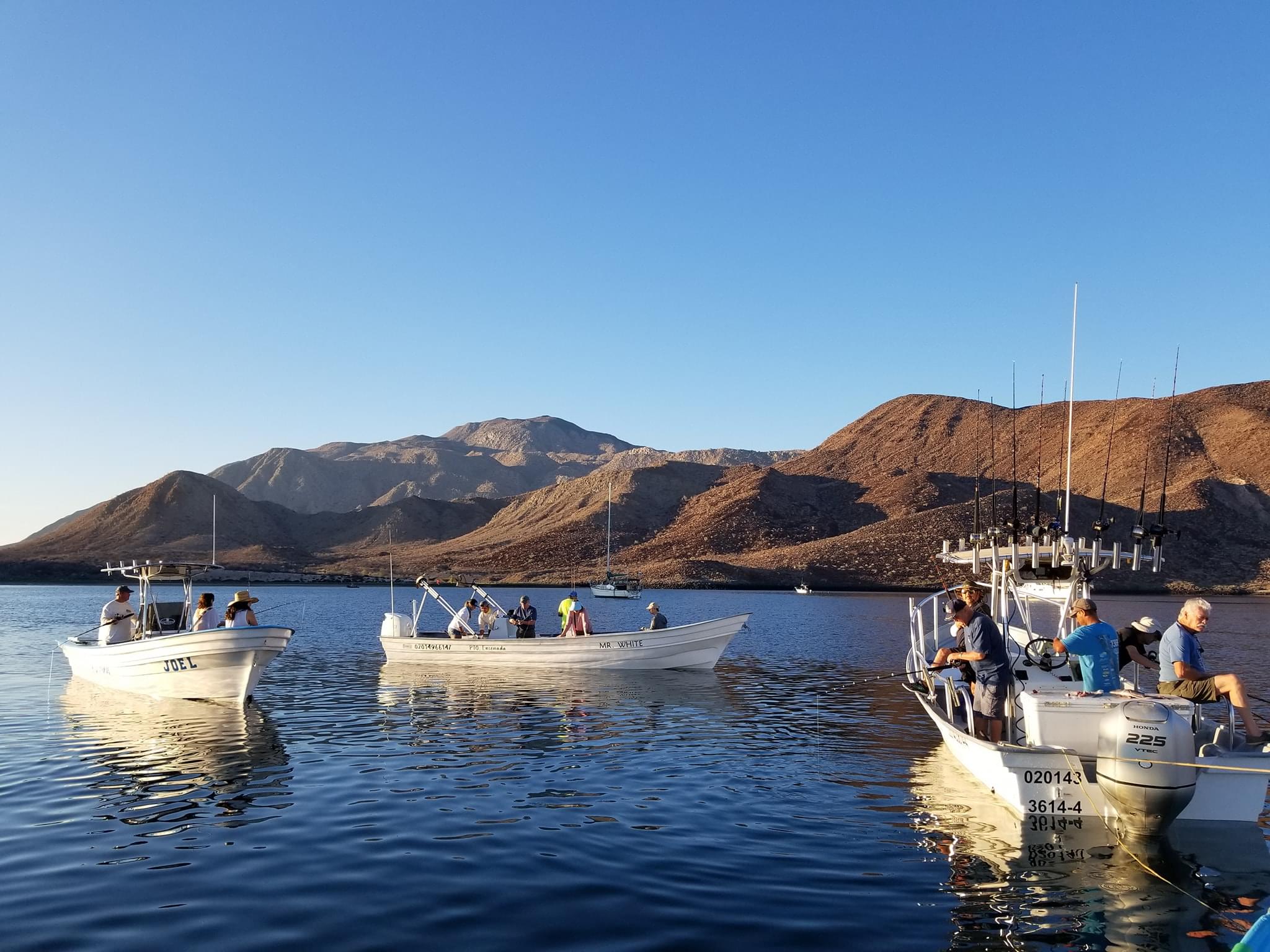 Pesca en bahia de los angeles 