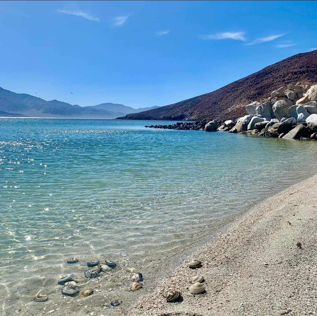 playas en Bahia de los angeles