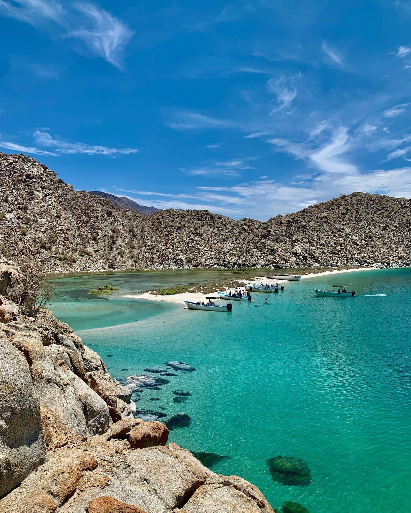 Playa la mona en Bahia de los angeles con los mejores tours